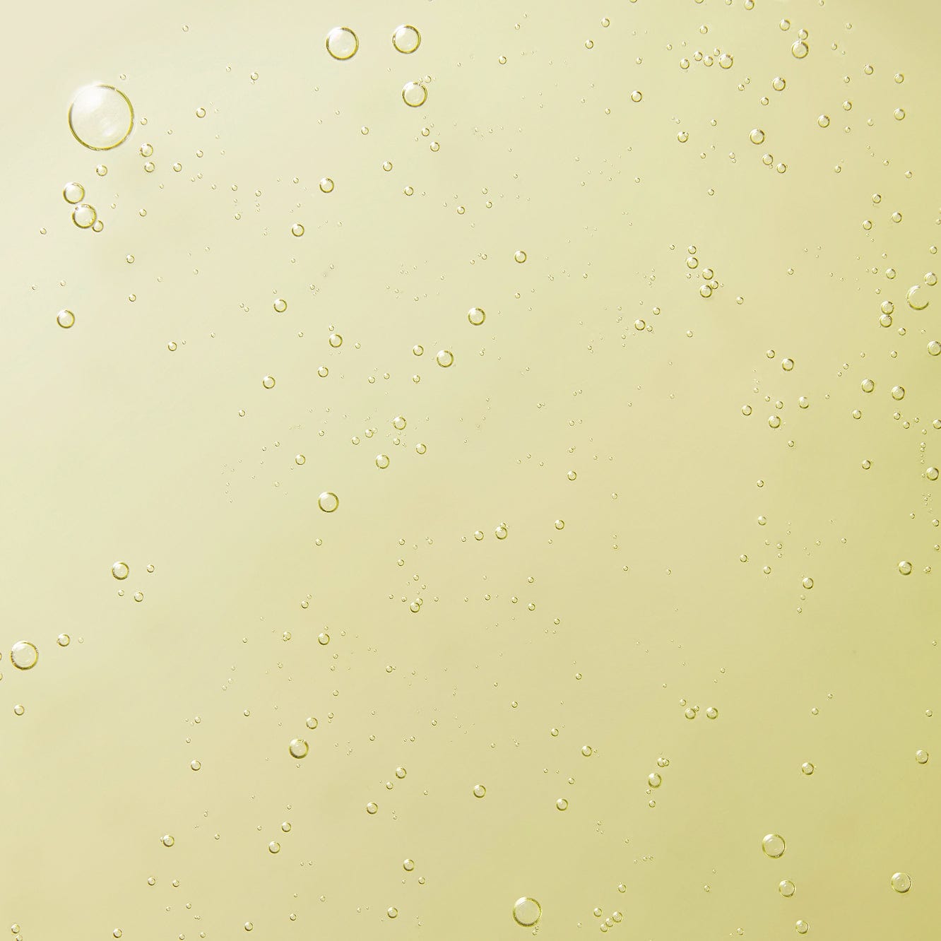 Signature Hand Collection