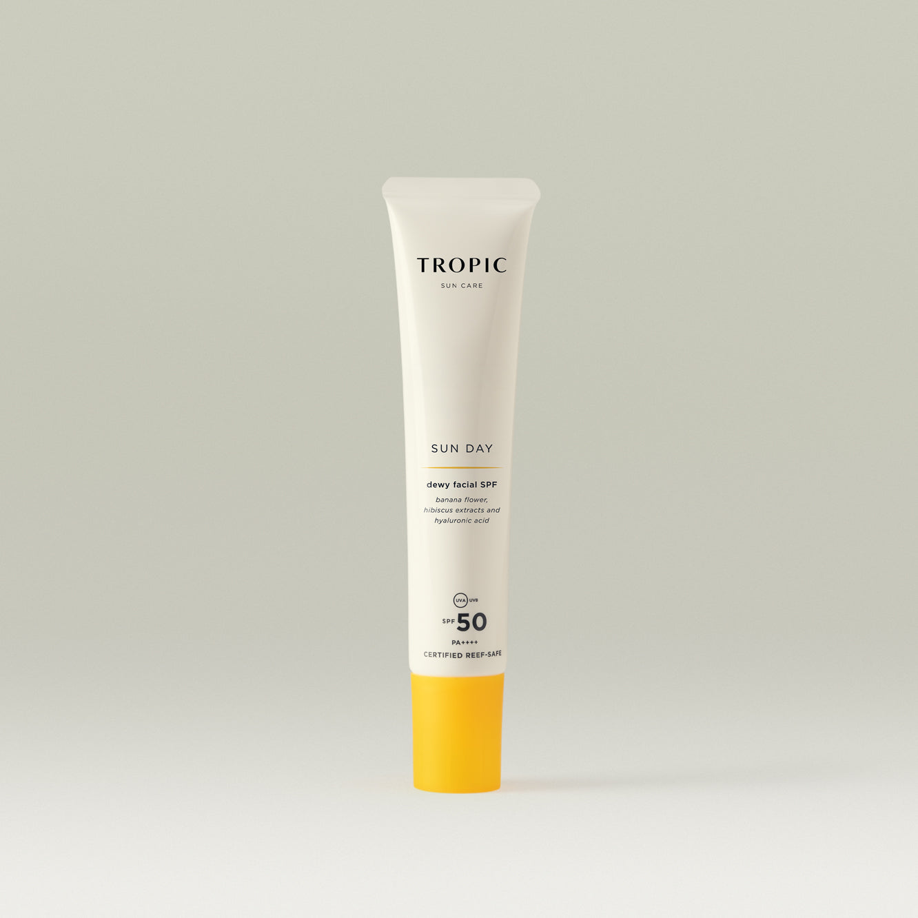Sun Day Dewy Facial SPF