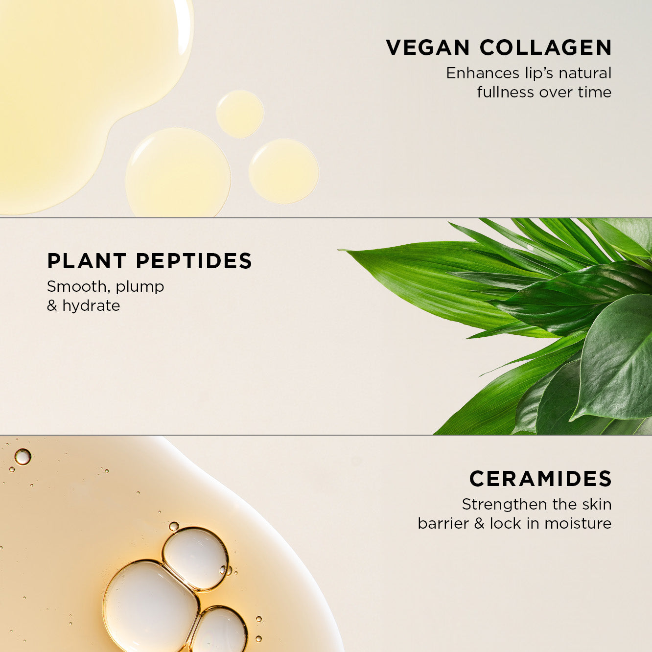 Lip Silk Plumping Ceramide Serum