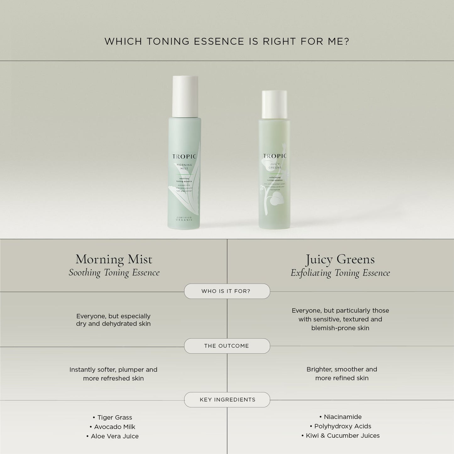 Morning Mist Soothing Toning Essence