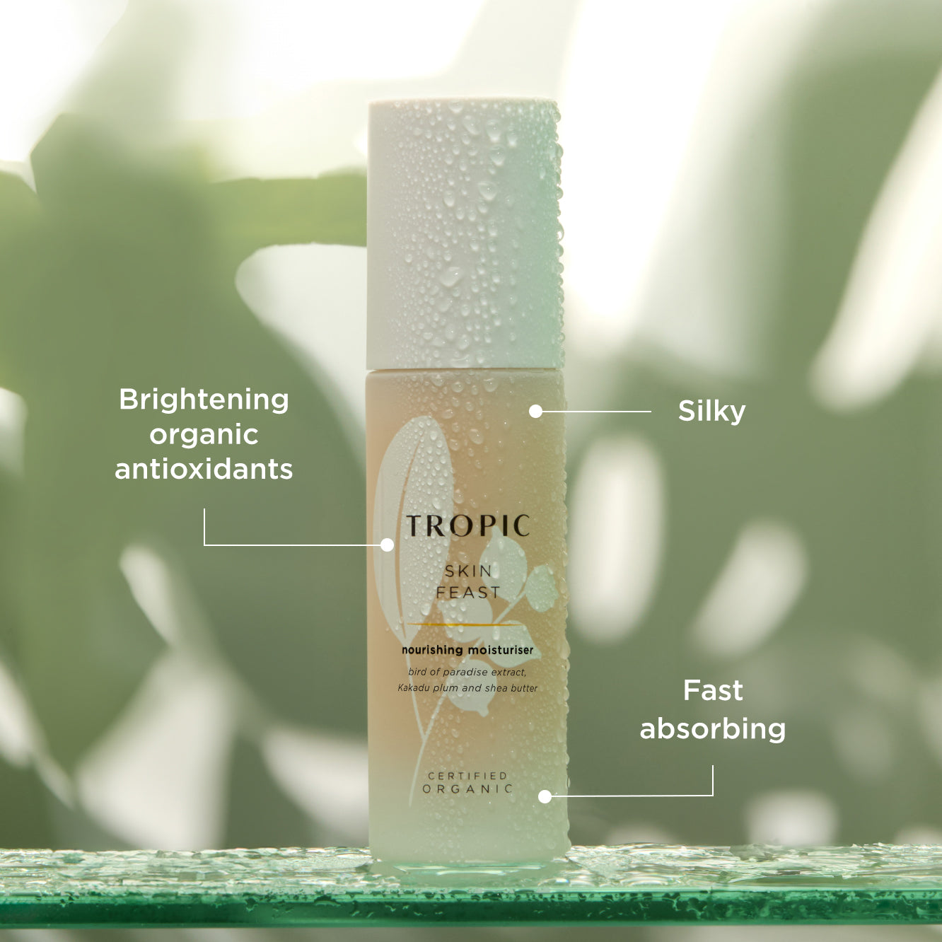 Skin Feast Nourishing Moisturiser