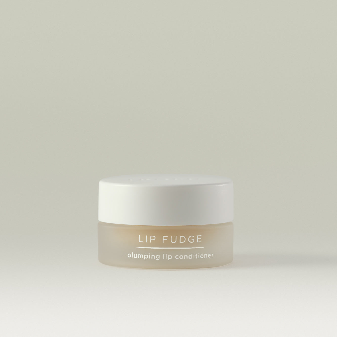 Lip Fudge Plumping Lip Conditioner