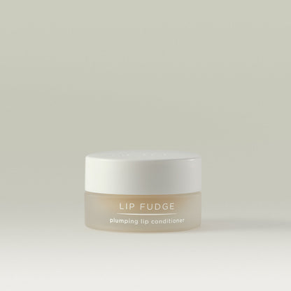 Lip Fudge Plumping Lip Conditioner