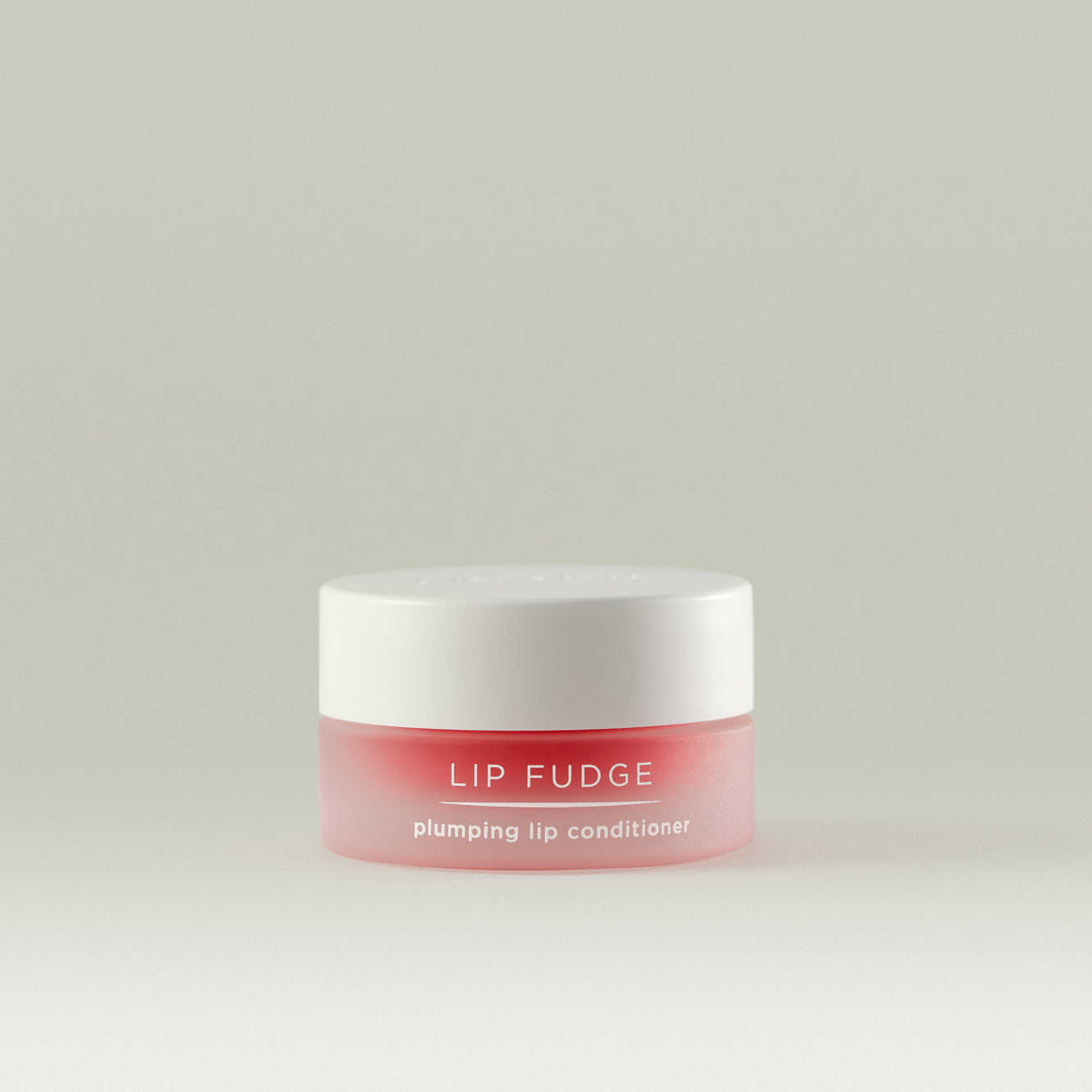 Lip Fudge Plumping Lip Conditioner