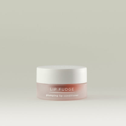 Lip Fudge Plumping Lip Conditioner