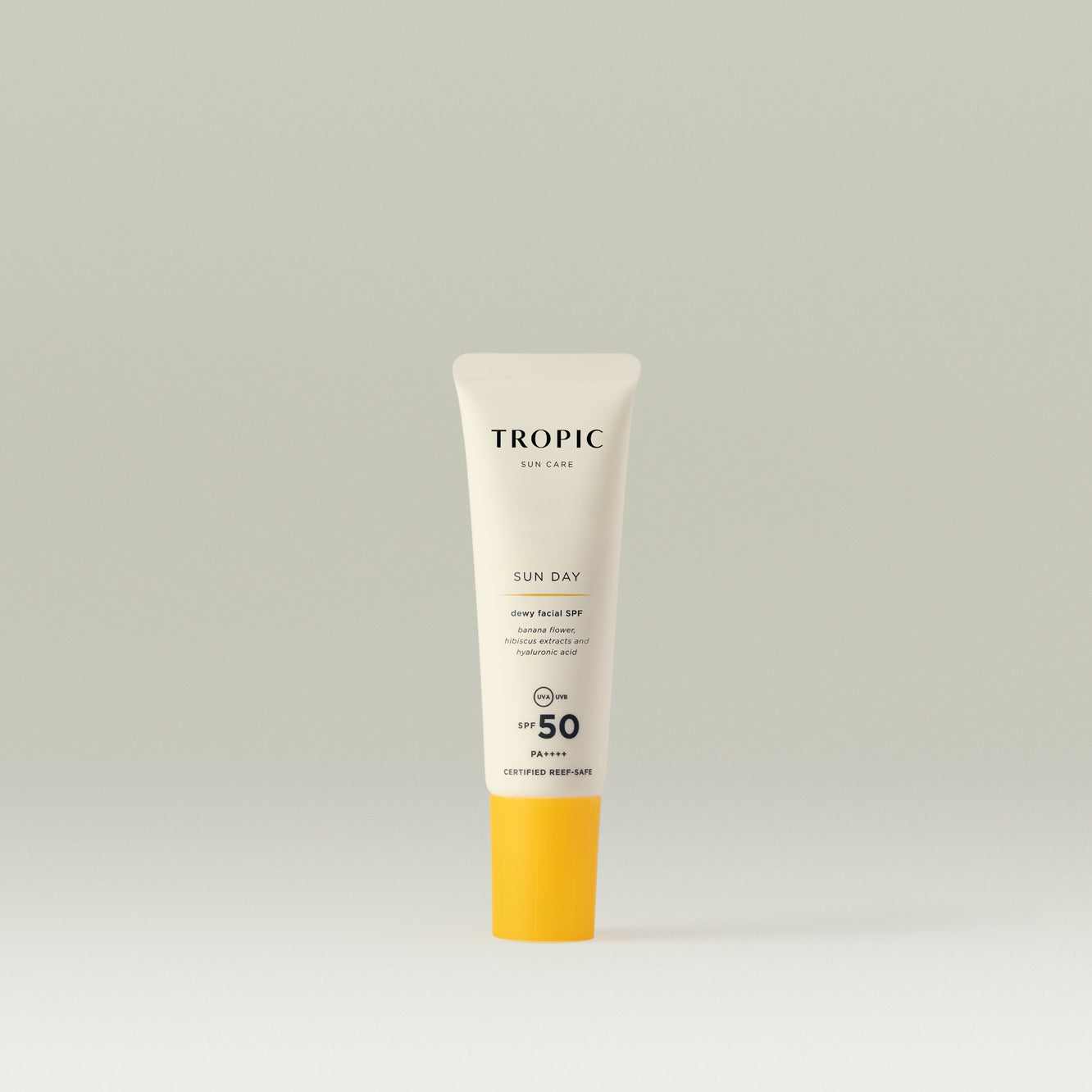 Sun Day Dewy Facial SPF
